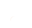 Petsify Shop Petsify Shop